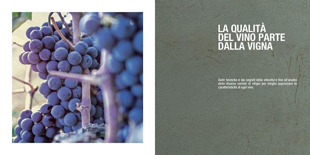Manuale del sommelier