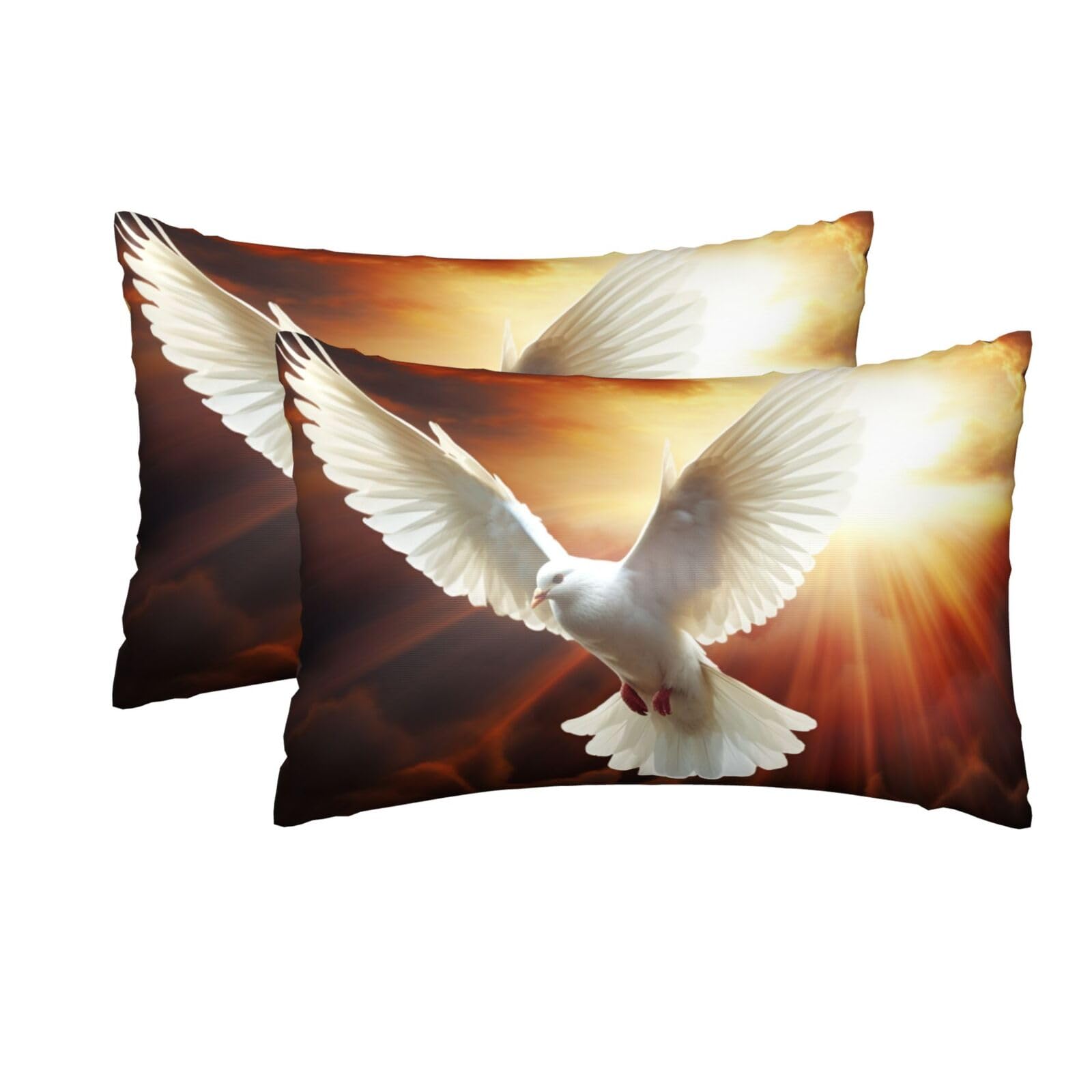 2 Pack Queen Silk Pillow Cases with Hidden Zipper, Luxury Soft Satin Pillow Covers for Hair and Skin, Dove Sun Art Pillowcases 20"x30" Bed Pillow Protectors Cover for Sleeping Gifts