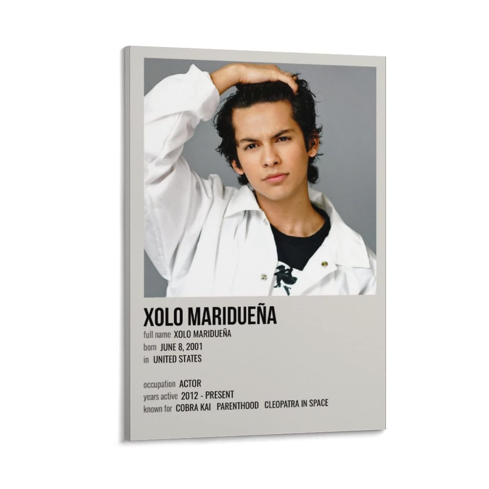 Qiufeng2015 3 Panel Hanging Posters Vertical Xolo Maridueña Frame-Style 08x12inch(20x30cm)