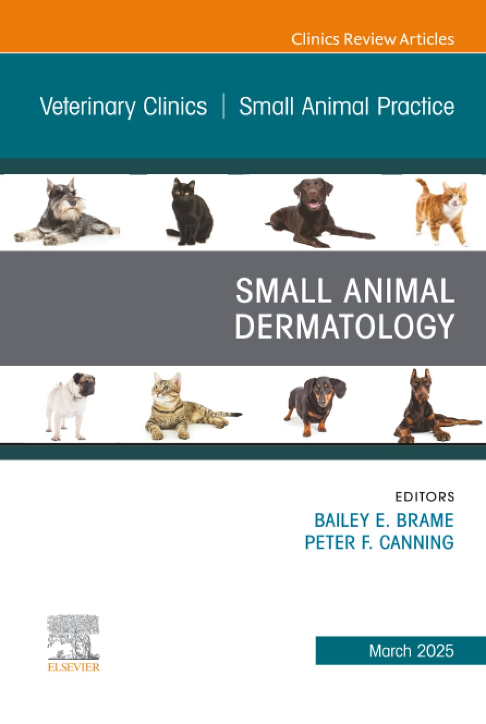 Small Animal Dermatology, An Issue of Veterinary Clinics of North America: Small Animal Practice: Volume 55-2 (The Clinics: Veterinary Medicine, Volume 55-2)
