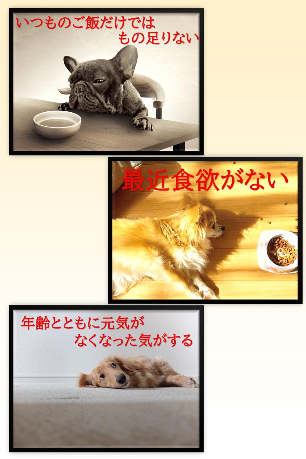 Amazon.co.jp: わんわん 犬日和 レトルト 60g 厳選人気4種 選べる