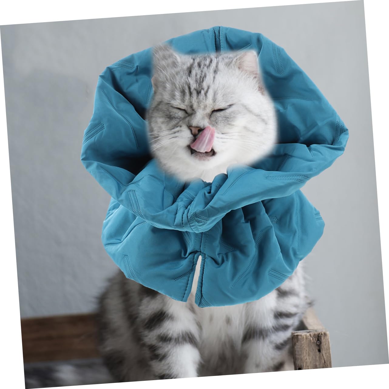 BESPORTBLE 3pezzi Collare Elisabettiano Morbido Per Gatti Protezione Post-operatoria Comfort Assoluto e Design Elegante Per Prevenire Leccature Sfumato