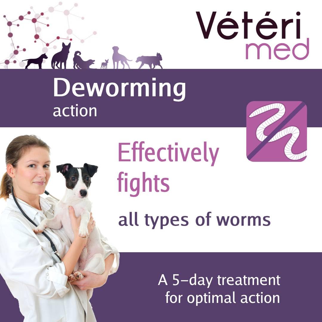 Comprimés vermifuges naturels pour l'hygiène intestinale des Chiens - Agit sur Tous Types de vers - Fabriqué en France - 30 comprimés - Version Anglaise