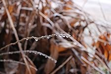 Review Image by Breezy Breezy