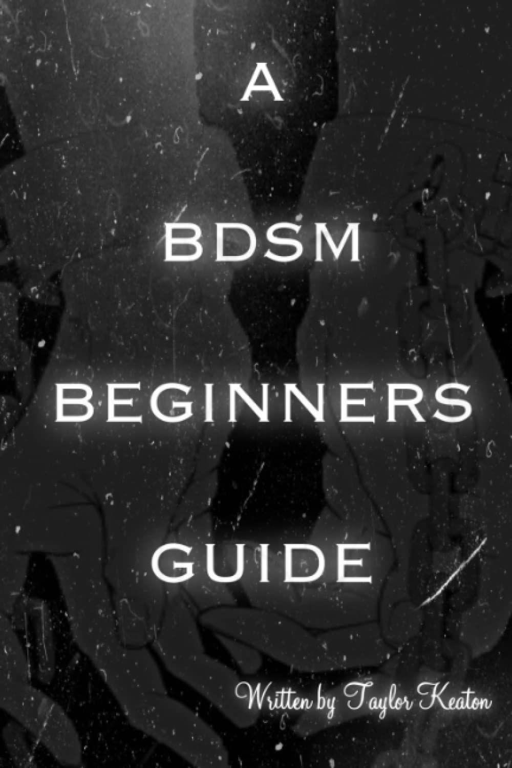 A BDSM Beginners Guide