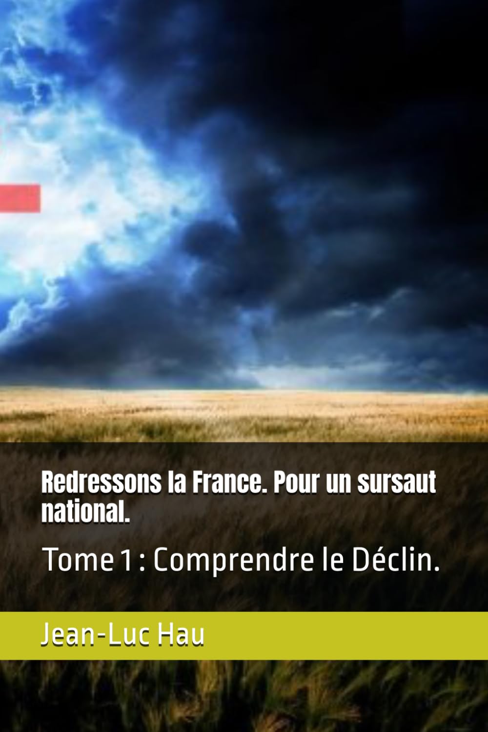 Redressons la France. Pour un sursaut national.: Tome 1 : Comprendre le Déclin. (Politique Française.)
