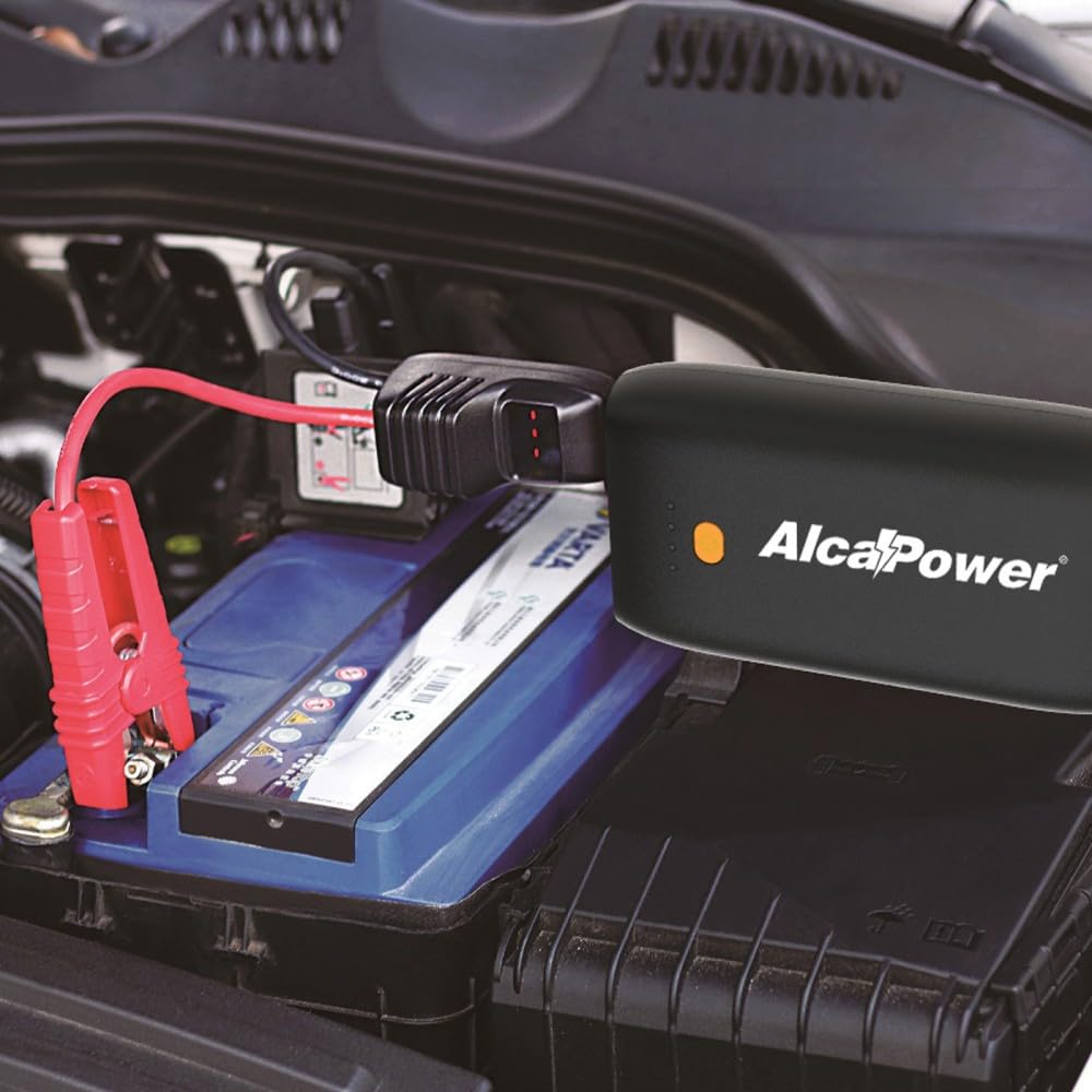 Avviatore d'emergenza 800A + Power Bank + Torcia