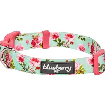 Blueberry Pet 8 Patterns Spring Scent Inspired Floral Rose Print Turquoise Dog Collar, Large, Neck 18