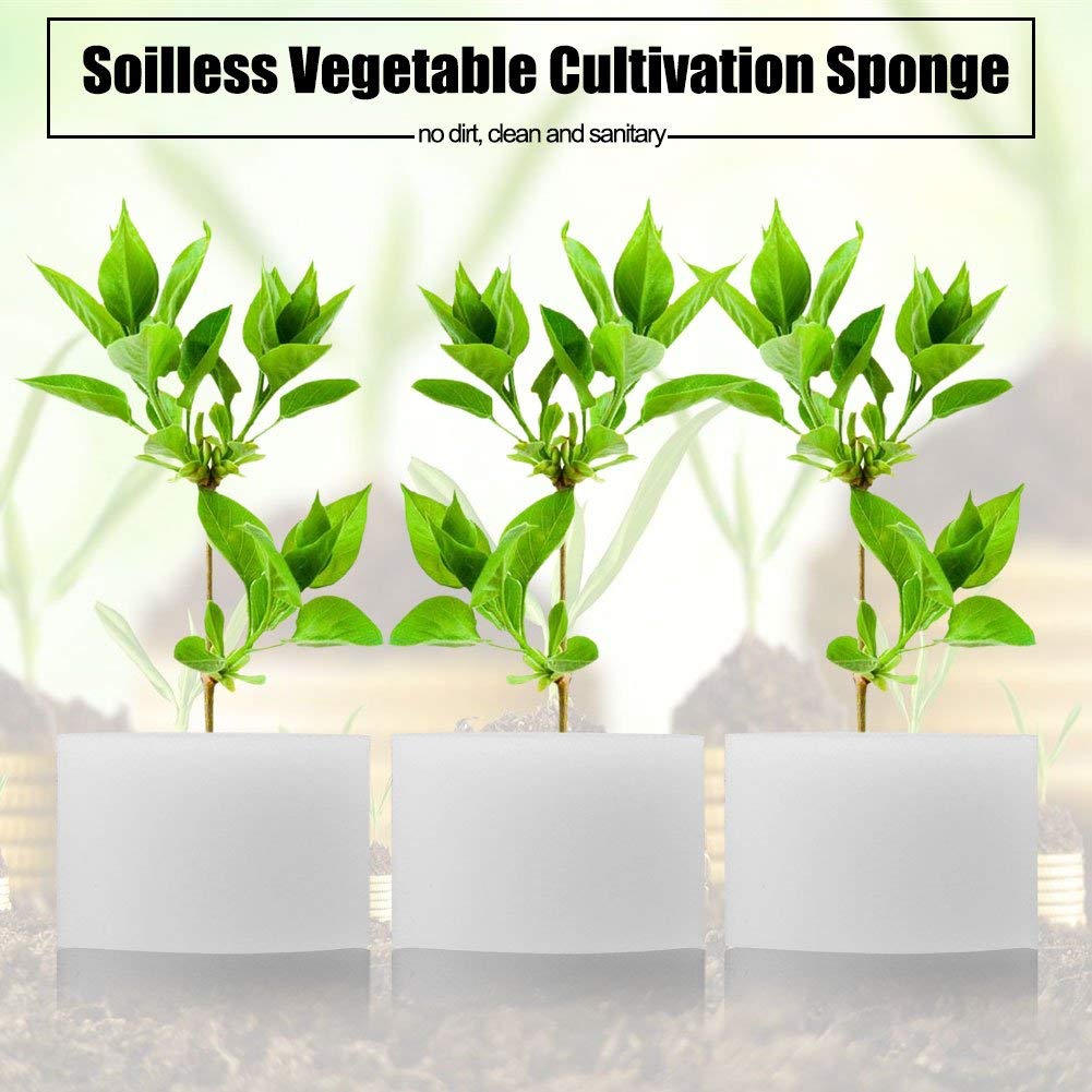 Viagasafamido 50 Unidades Esponjas Hidropónicas para Cultivo Sin Suelo - Esponjas para Plantones de Vegetales, Jardinería Y Germinación (44 X 30 Mm)