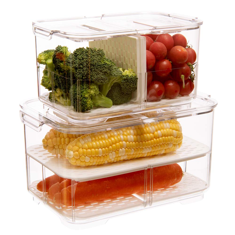Buy blitzlabs Fridge Food Storage Bin Containers Produce Saver