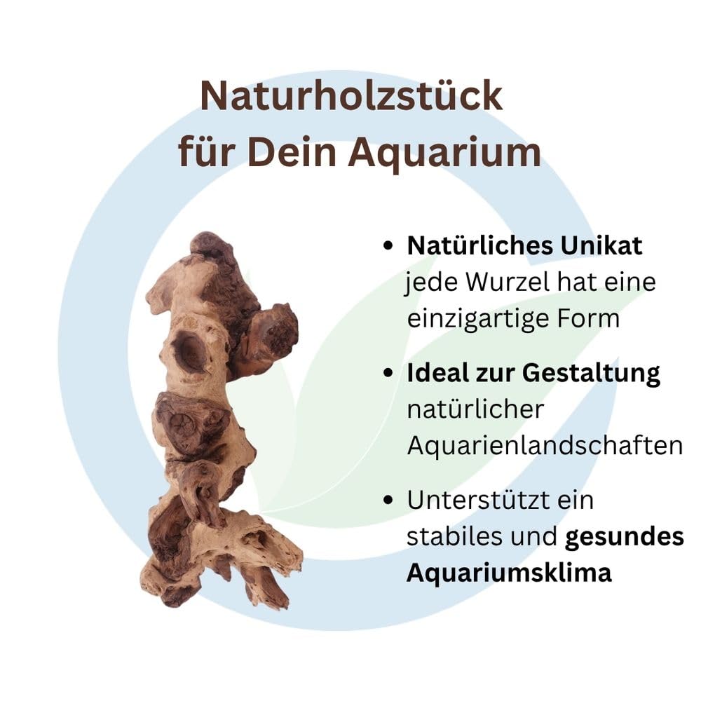 AquaOne Aquarium Wurzel Deko XL Mopani Aquascaping Echtholz Holz Dekoration Pflanzen Wasserpflanzen Landschaft Moos Natur Mopaniwurzel Welse