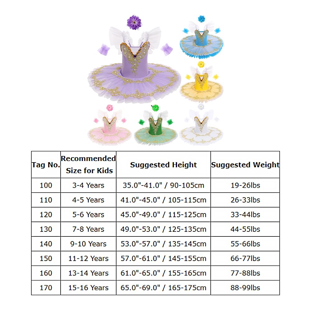 IDOPIP Robe Ballet Enfant: Tutu Danse Classique Fille Justaucorps Danse Fille Ballerine Costumes Paillettes Broderie sans Manches Plateau Tutu - Spectacle De Ballet Danse
