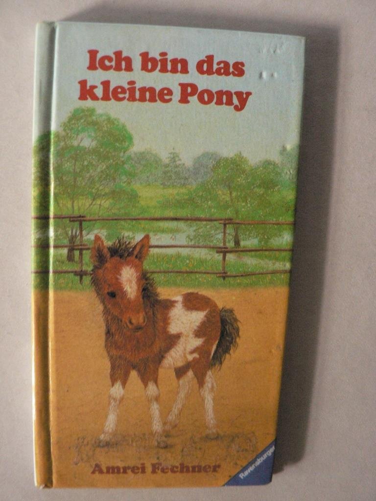 Ich bin das kleine Pony Miniausgabe Titel nur lieferbar in VKK 697397 Fechner, Amrei