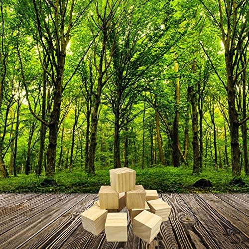 AIVORIUY Basswood Whittlers Carving Blocks - Wood Whittling Carving Kit - Unfinished Wood Blocks for Wood Carving - DIY Carving Wood for Wood Carving Hobby Whittler Art Sculpturing Craft 12pcs 5x5x5cm