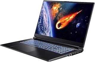 HoMei 16GB DDR5 RAM, 1TB M.2 PCIe SSD, 1TB HDD, 14 Cores 13th Gen Intel Core i9-13900H 5.40GHz Gaming Laptop, 17.3" 2.5K QHD 165Hz Display, GeForce RTX 4070 8GB GDDR6 Dedicated Graphics