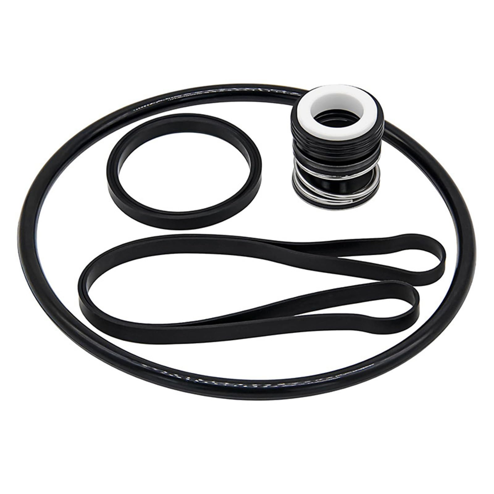 Tsophreniq Pool Pumps Maintenance Set Stainless Steel Rubber Seal SPX1600Z2 for SP3200EE SP3600 Models Pool Pumps Seal