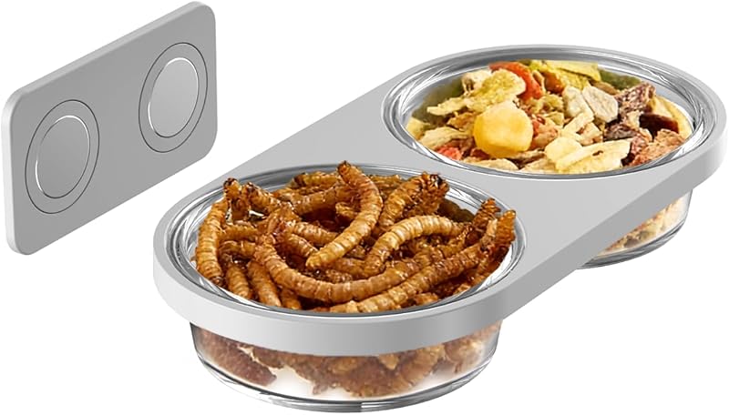 Reptil magnético para alimentación de reptiles con 2 cuencos de plástico, alimentador de alimentos, plato de agua para hámster enano Gecko con cresta (gris, montaje magnético)