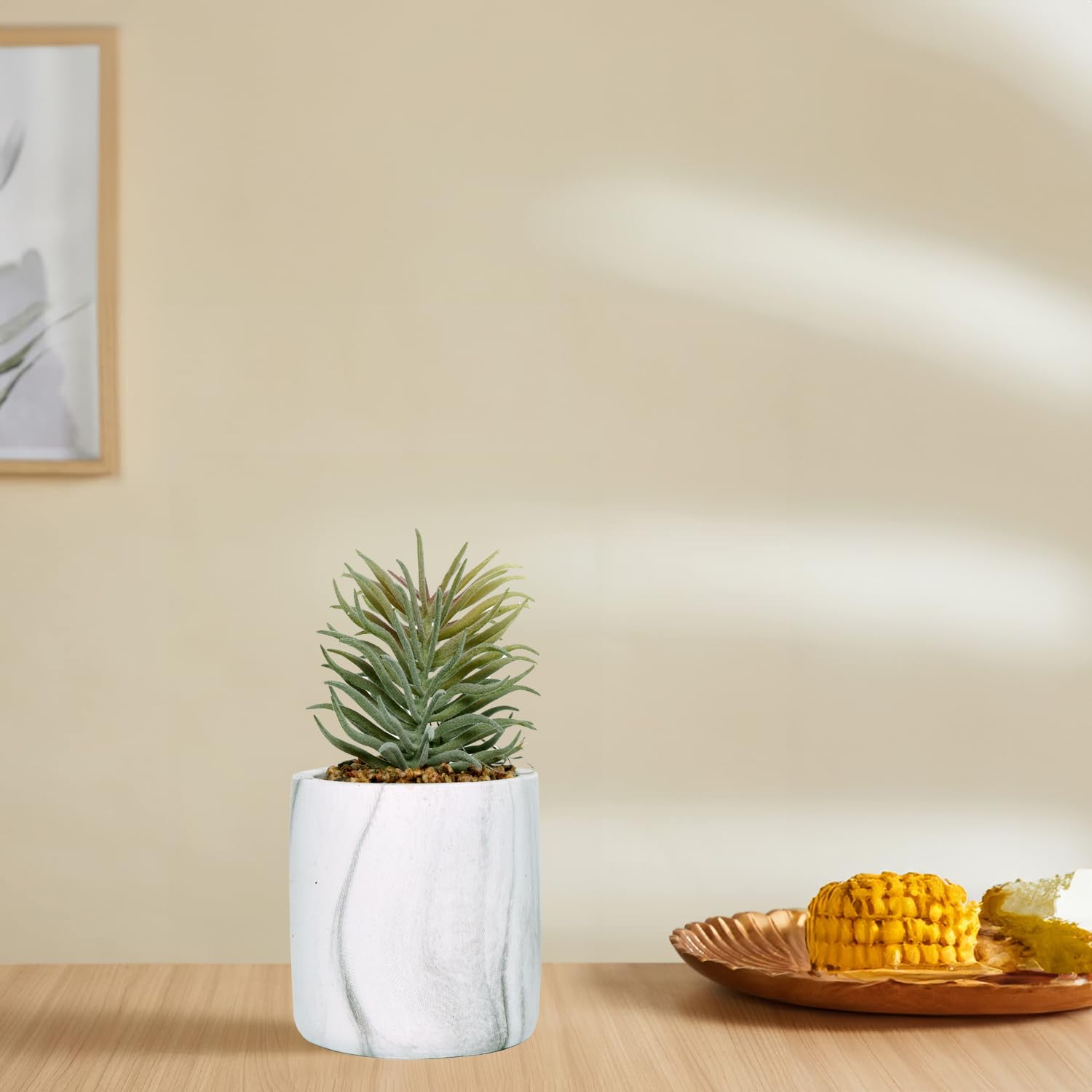 Cortina Potted Plant Eco Sustainable Flower for Home - Multicolor-3 2