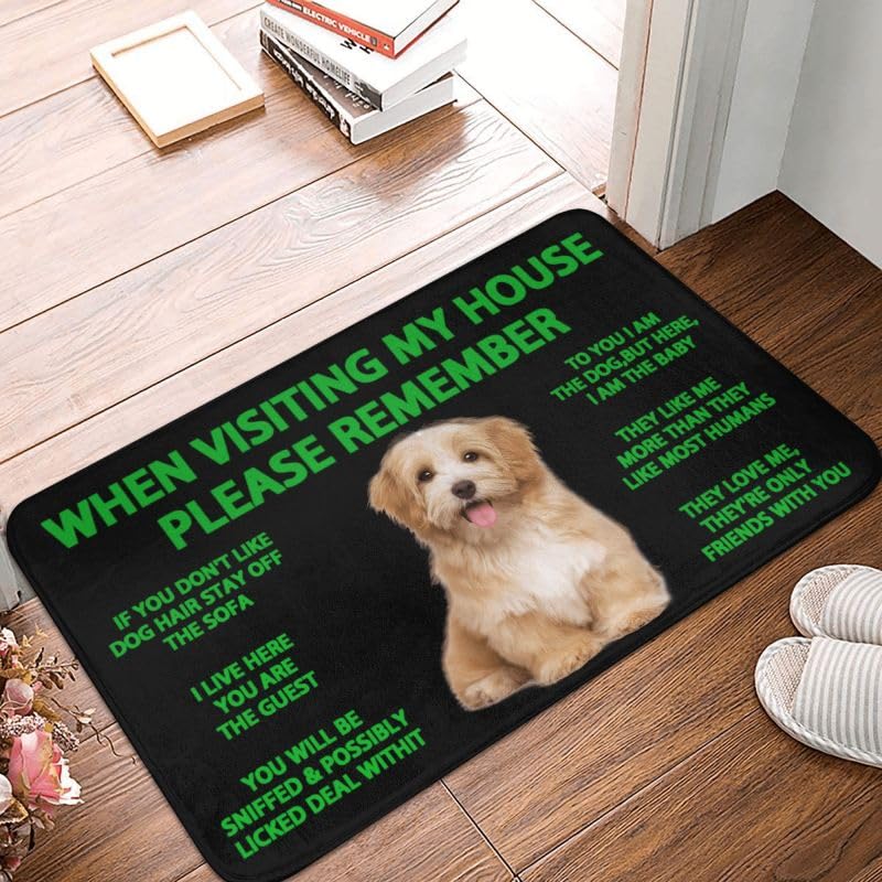 Paillasson d'entrée intérieur Shih Tzu et tapis de salle de bain lavable