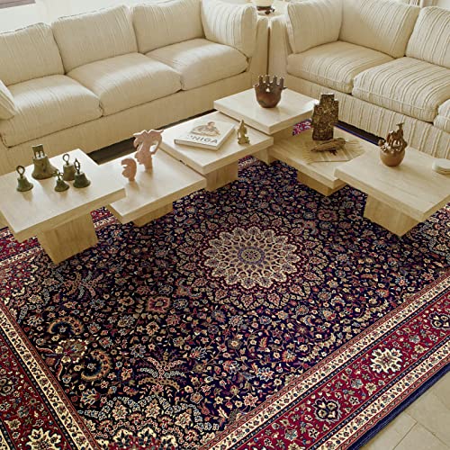 Oriental Weavers Ariana Area Rug - 095B3-7'10' x...