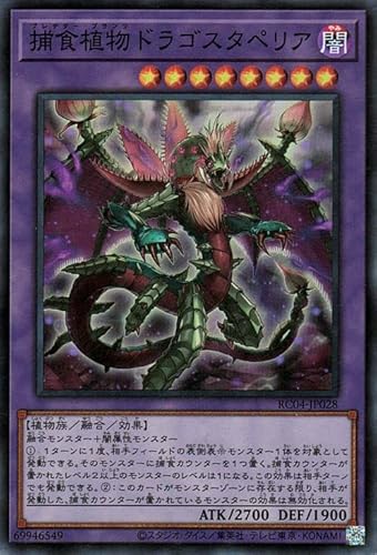 VYJ[h ߐHAhSX^yA(X[p[A) RARITY COLLECTION QUARTER CENTURY EDITION iRC04j | vf^[ vc Z ő A