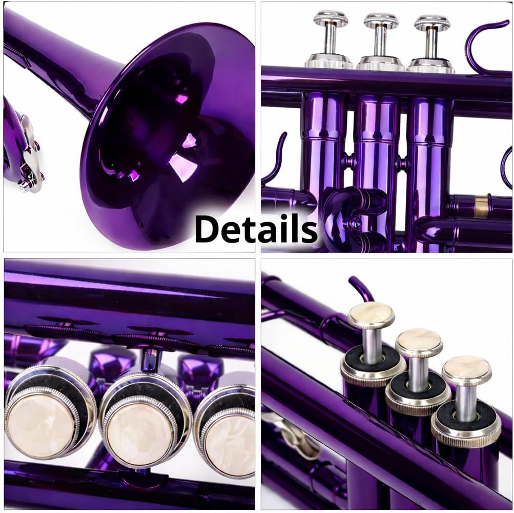 Bb Standard Trumpet for Students & Beginners, Brass Trumpet Set with Hard Case, 7C Mouthpiece, Cleaning Cloth & Gloves, Purple
