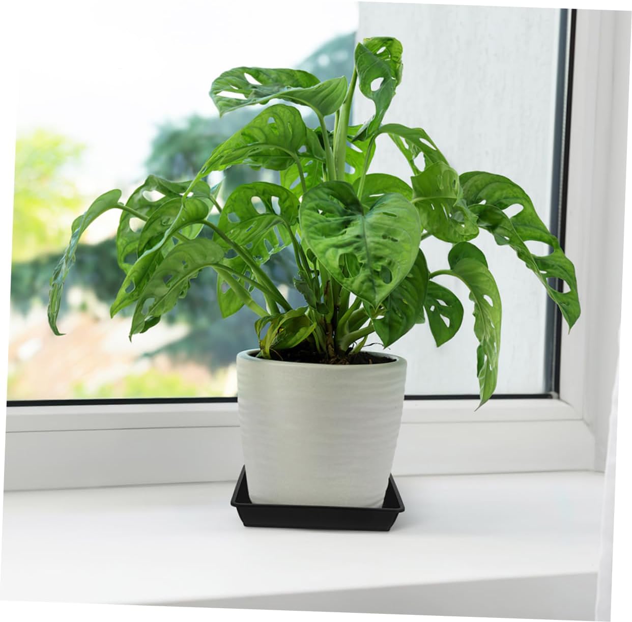 10pcs Saucer Trays Plastic Flower Pot Trays for Plants Easy to Move Prevent Spill