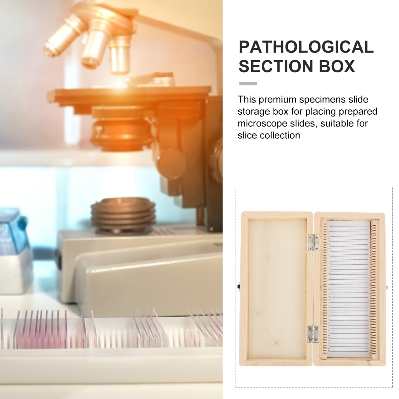 Boîte de Rangement pour Lames de Microscope 50 Lames Métal Nickelé Serrure