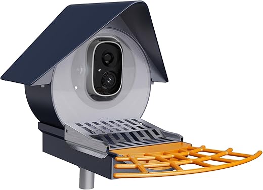 birdkiss smart bird feeder