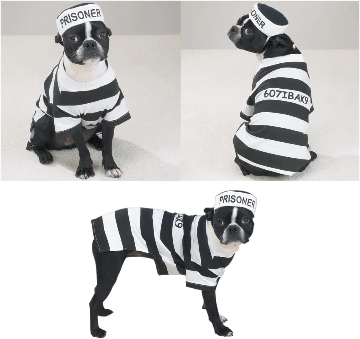 Prison Costume for Dogs Dress Your Pooch as Your Favorite Prisoner Bad Dog! (Large)