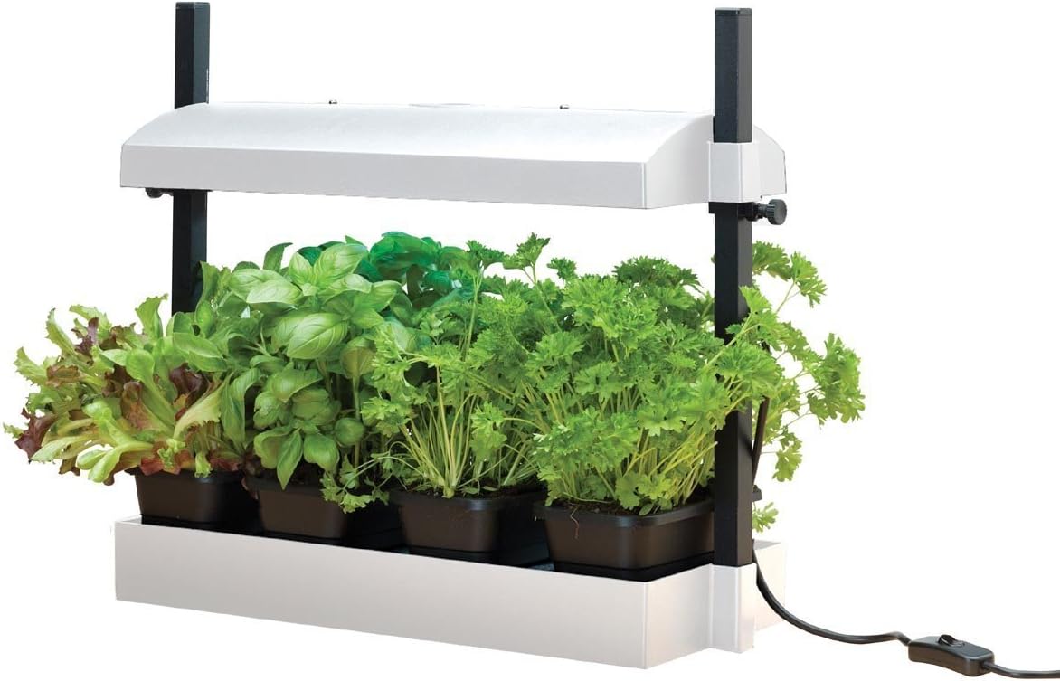 Garland GAL62GWM Micro Grow Light Garden Propagator, White, 50x20x20 cm