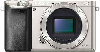 Amazon.com : Sony Alpha a6000 Mirrorless Digital Camera 24.3MP SLR