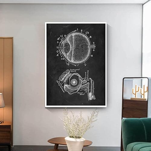 Póster educativo de anatomía ocular de órganos humanos arte de pared médico abdominal, clínica, oficina, gimnasio, decoración, negro, blanco,