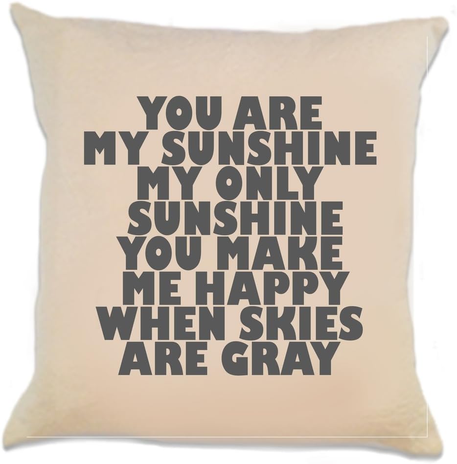 You are My Sunshine 12 x 12 Inch Decorative Pillow