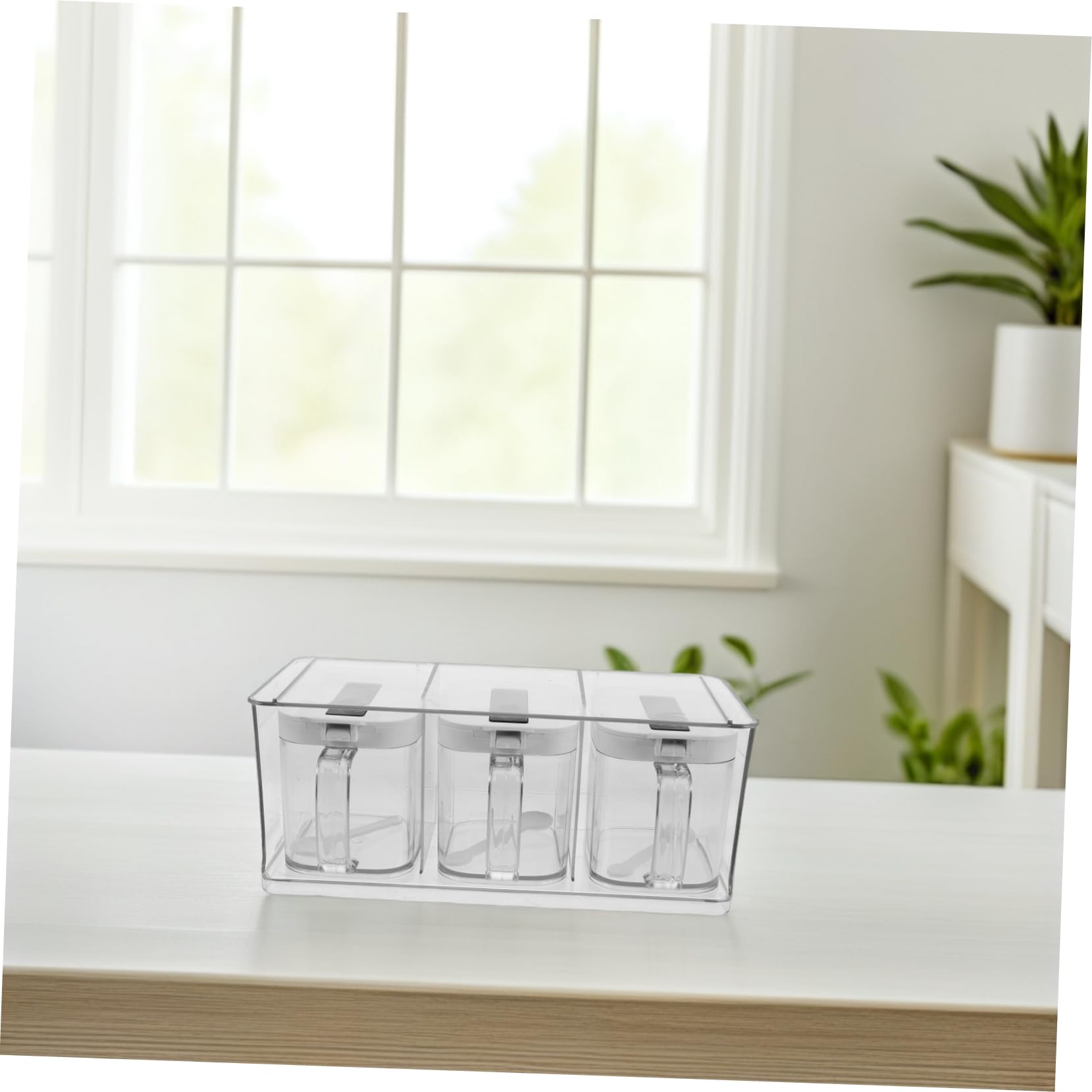 BESTOYARD Boîte à Épices en Acrylique Transparent avec Couvercle Hermétique, Rangement Mural Cuisine, Design Simple et Élégant en Pet, 1 Set