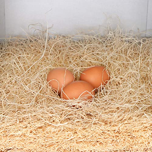 Rural365 Chicken Nest Box Liners 40 Pack - Chicken Coop Bedding, Poultry Supplies Chicken Bedding Nest Liners Chickens #TOP6
