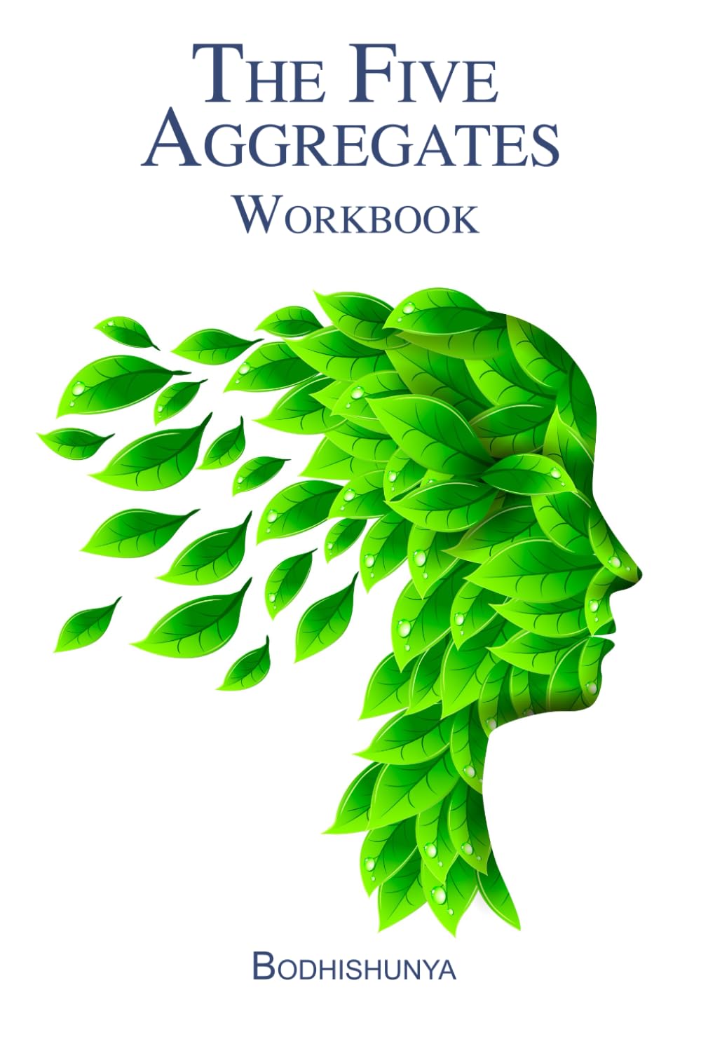 The Five Aggregates Workbook: Practical Meditations & Reflections (The Five Aggregates Series)