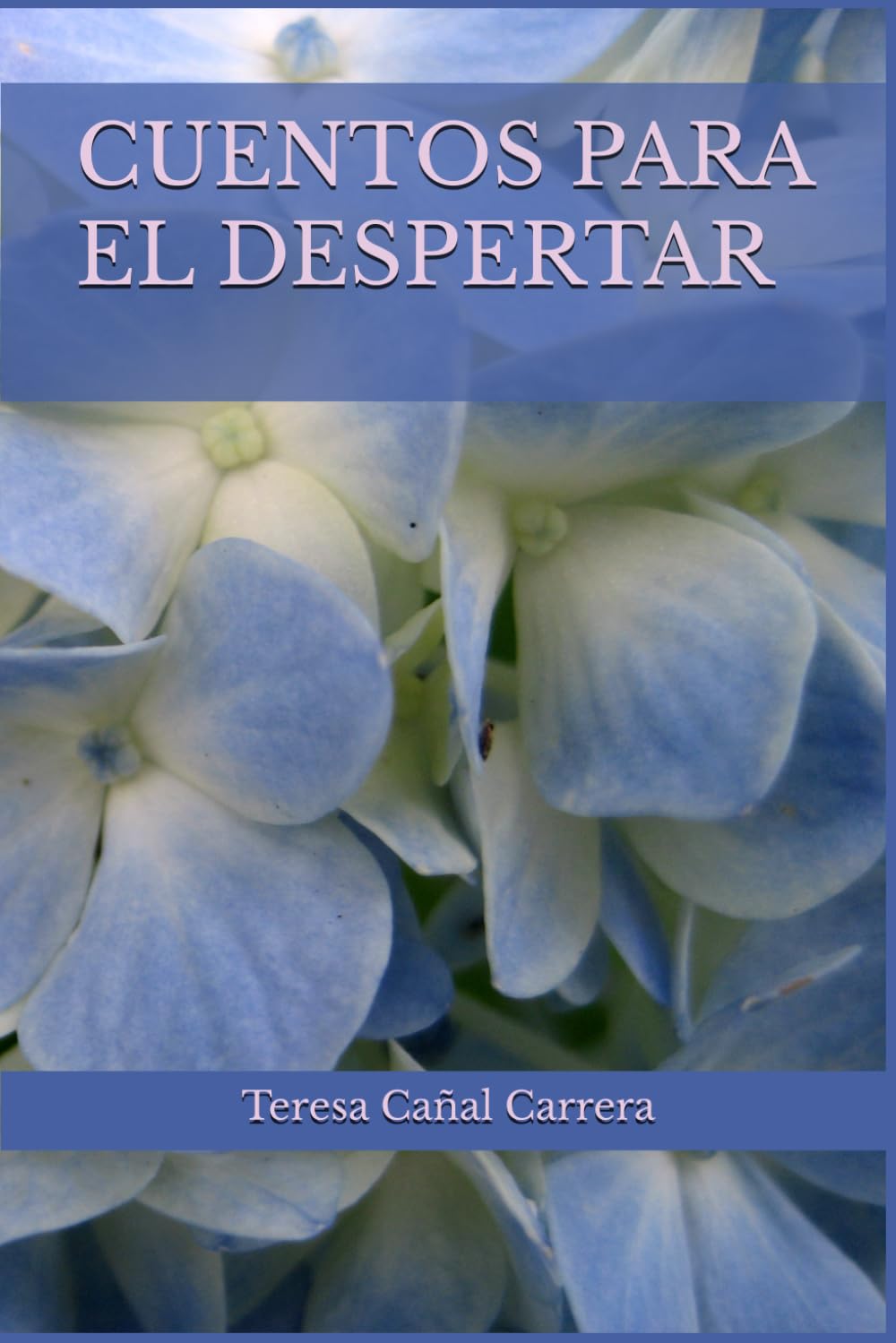 CUENTOS PARA EL DESPERTAR