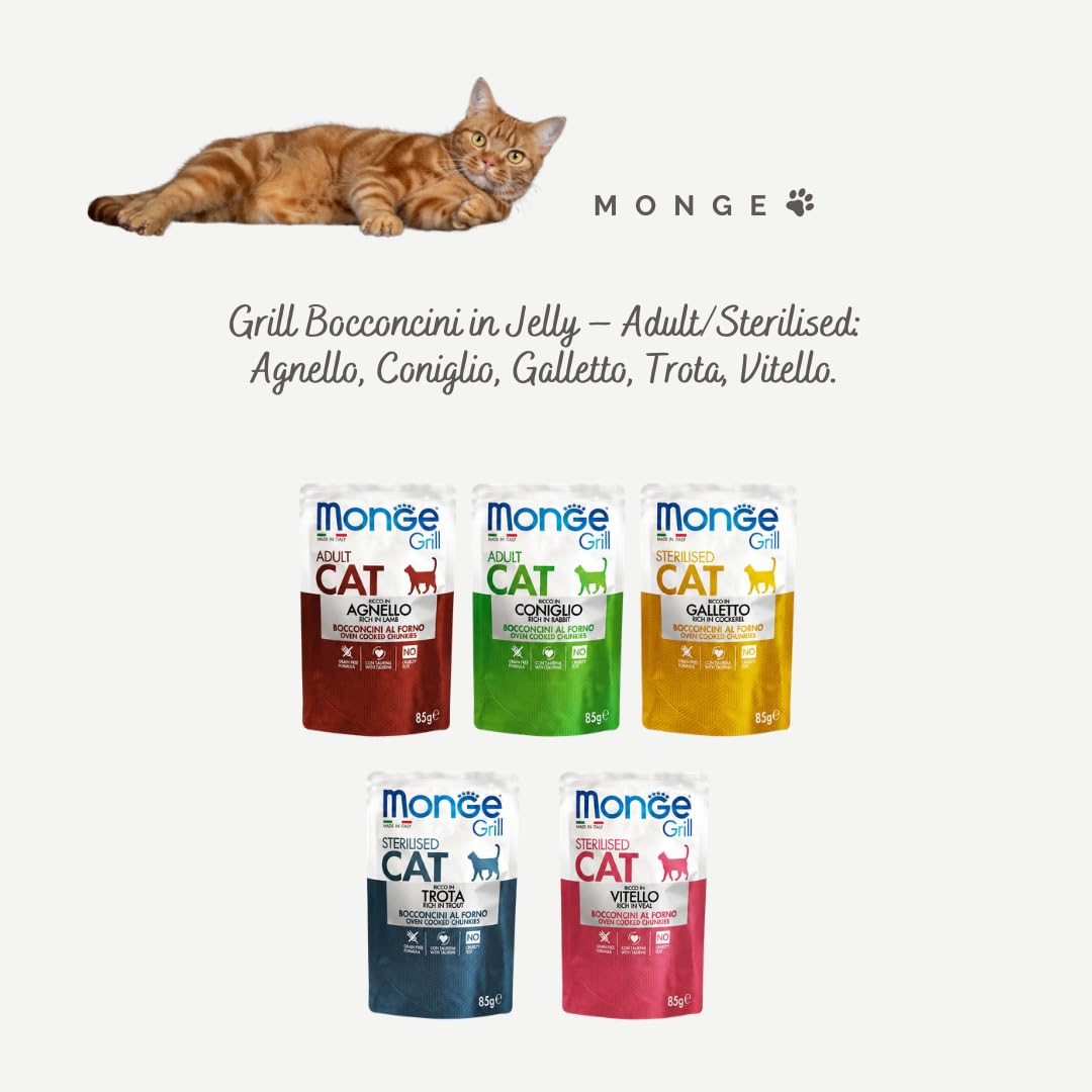 Monge Friandises pour chat en gelée aux saveurs assorties, nourriture humide complète pour chats adultes et stérilisés, 24 sachets de 85 g chacun.
