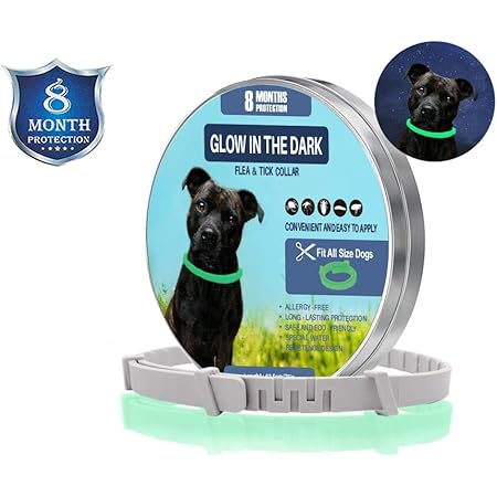 petsmart seresto cat