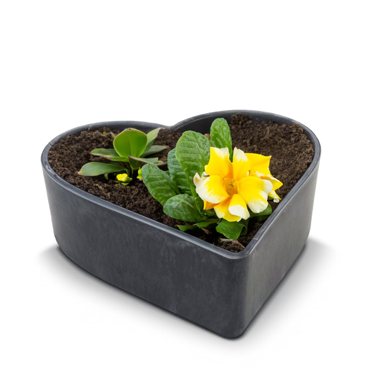 Matches21 - Maceta para plantas (resistente a la intemperie, con forma de corazón para exteriores, tamaño grande, jaspeado, para flores, 24 cm, para flores o cementerios, como adorno para tumba)