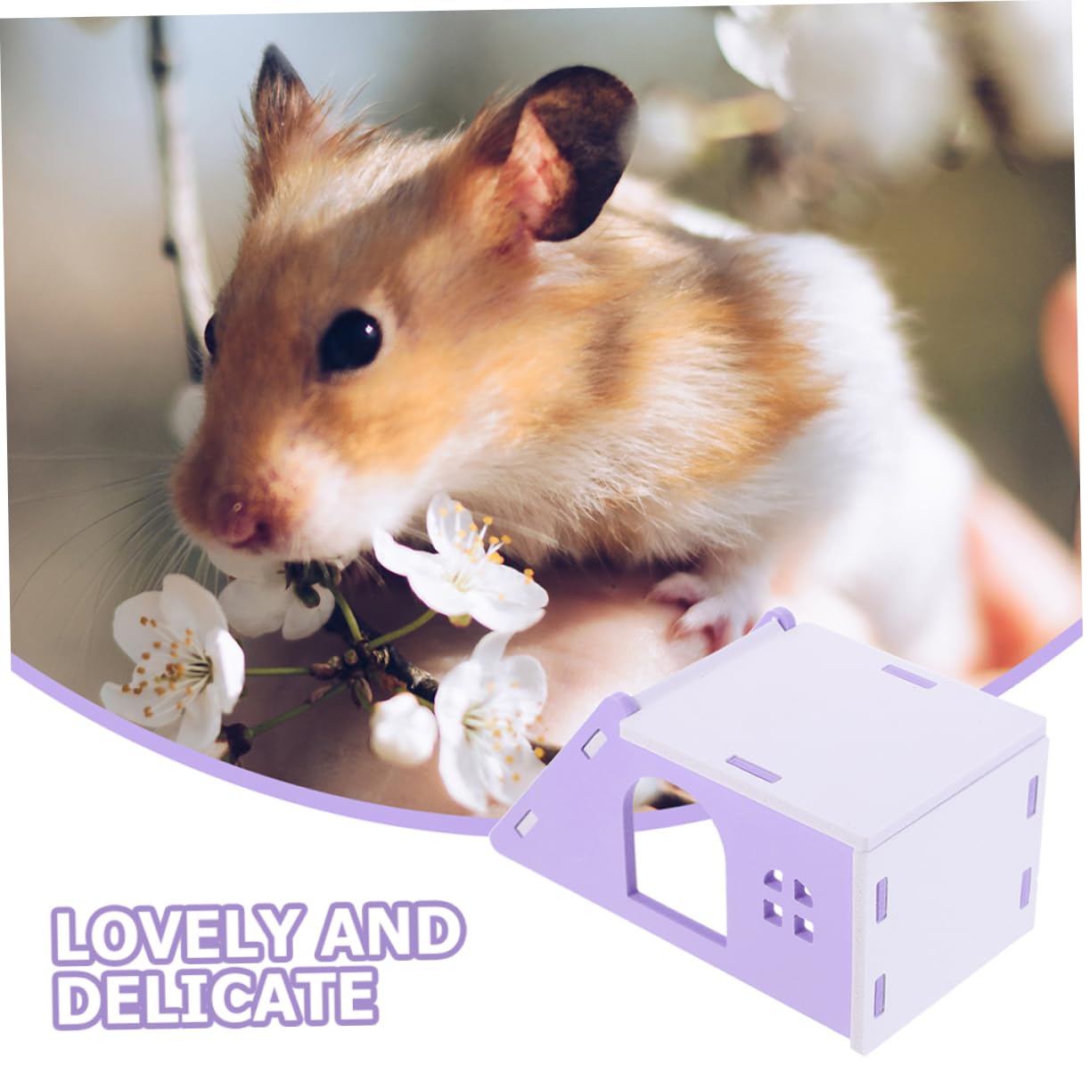Kisangel 8stücke Hamster Schlafhaus Mit Rampe Kuschelige Rückzugsmöglichkeit Für Kleine Tiere Für Hamster Und Mäuse Aus Langlebigem Einfache Reinigung Und Gemütliches Design