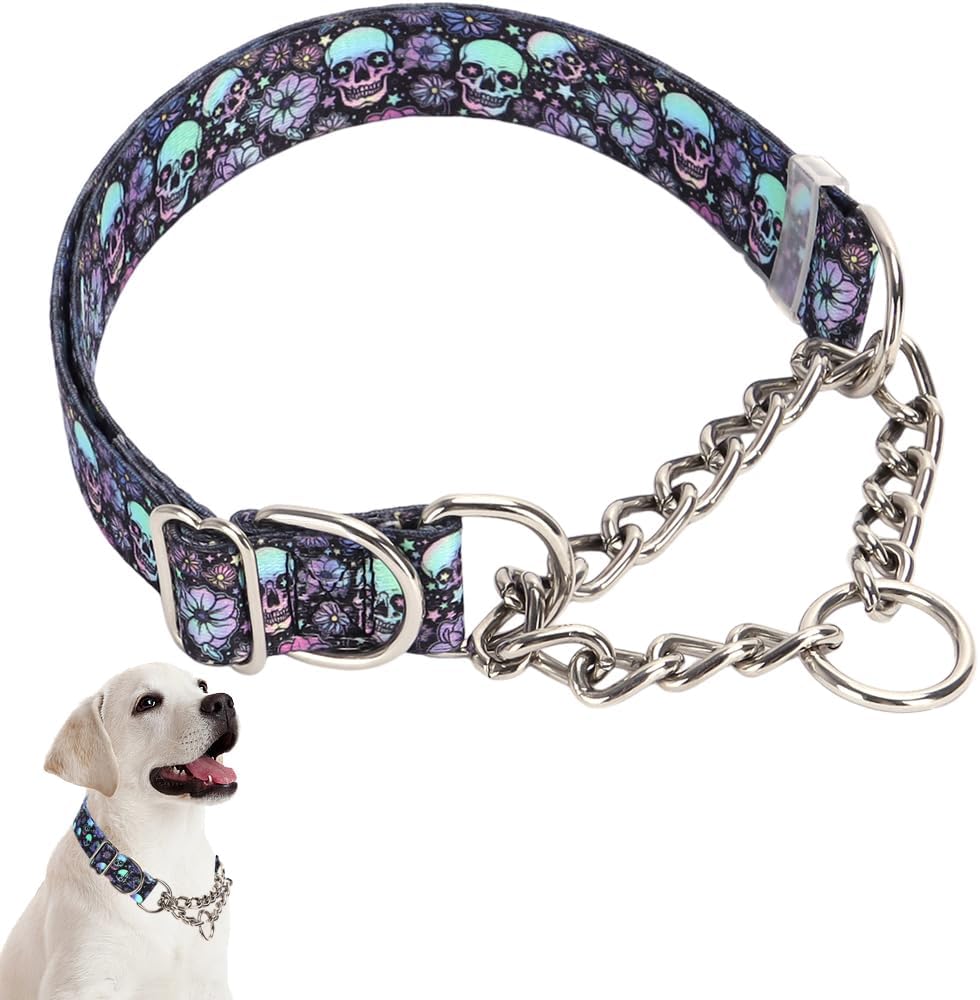 Stainless Metal Chain Martingale Collar for Canine, No Pull Slip Choker Collar Coaching Escape Proof Heavy Responsibility Choke Canine Collar for Small Medium Giant Canine Boy Male Pet, Cranium L