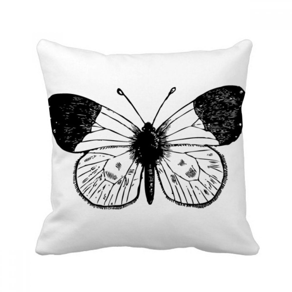 Coussin Papillon Rénovation Canapé Housse Décorative Salon Motif Original Multicolor