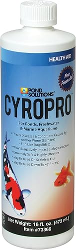 Hikari Usa Inc AHK73366 Estanque Cyropro 16 onzas Hikari Usa Inc AHK73366 Estanque Cyropro 16 onzas