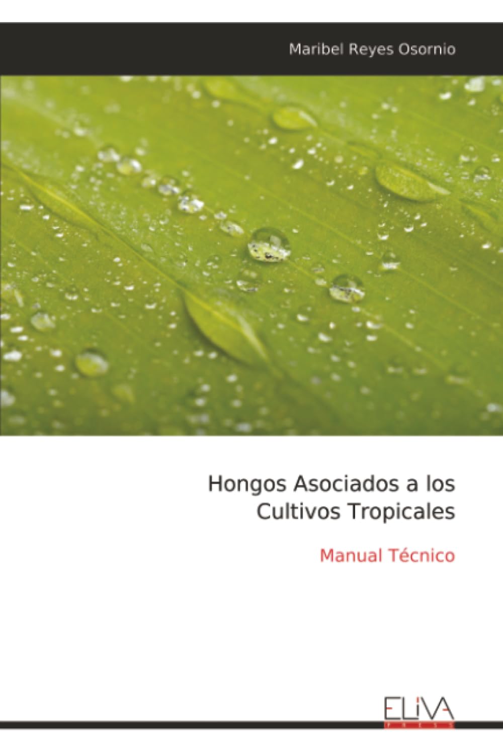 Hongos Asociados a los Cultivos Tropicales: Manual Técnico