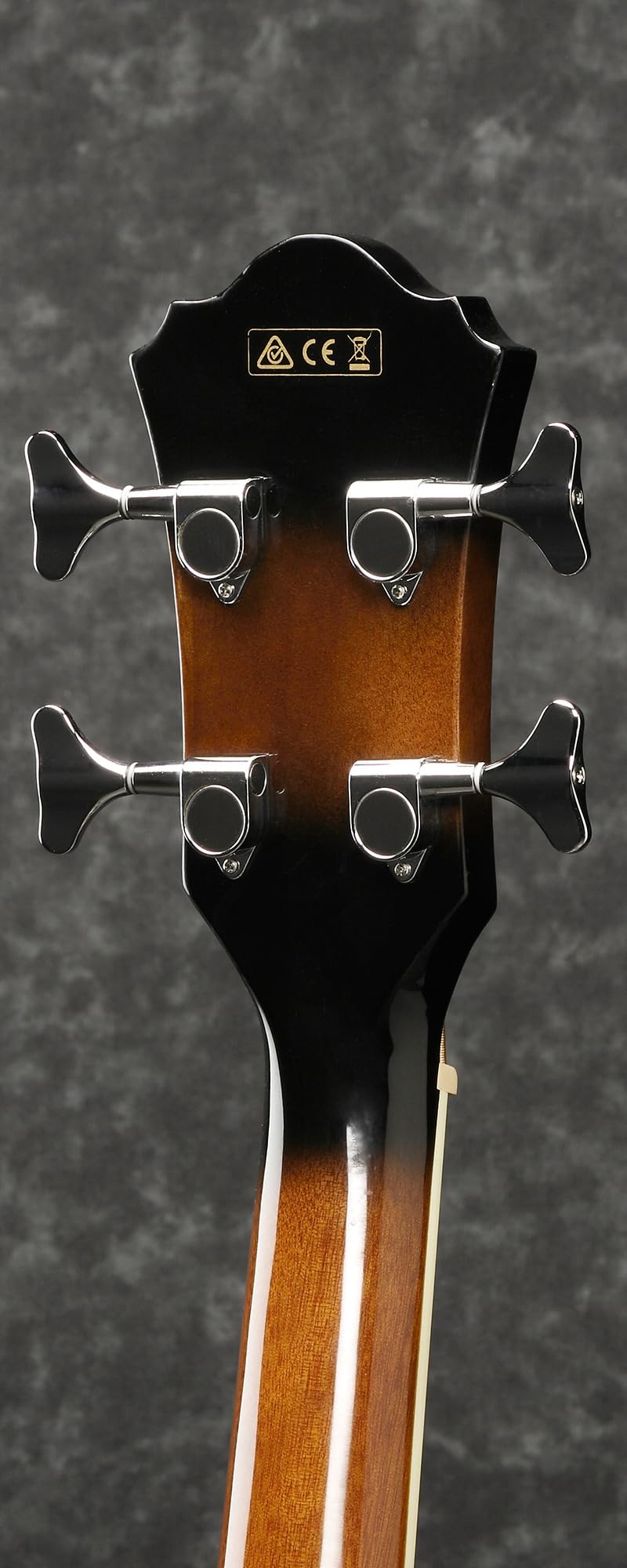Amazon.com: Ibanez AEB10E Acoustic-Electric Bass Guitar