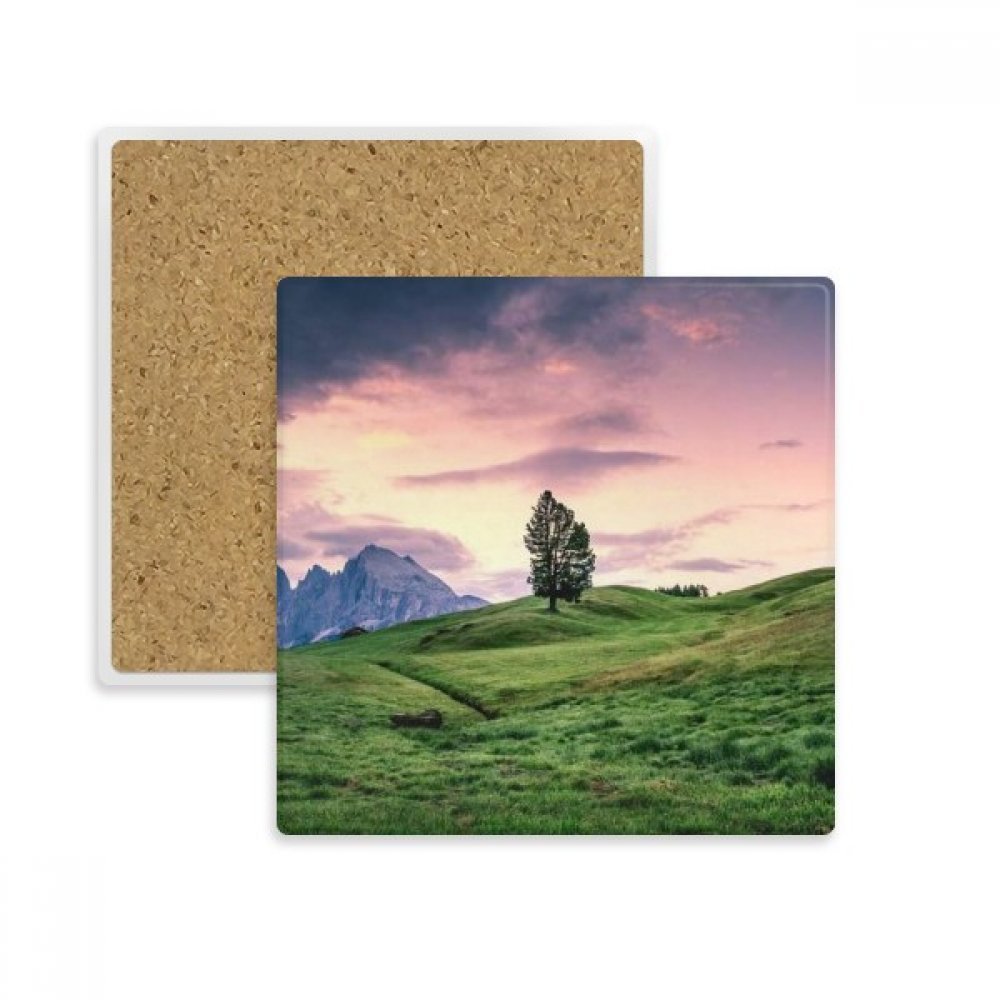 Cadeau dessous de verre Rose Arbre Herbe en pierre absorbante pour mug et boisson