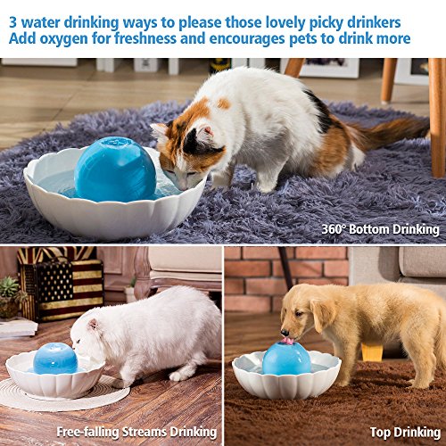 IPettie Potabile Fontana Fontanella in Ceramica