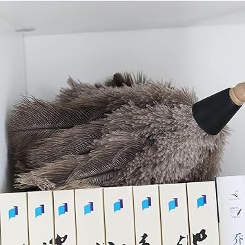 Ostrich Feather Duster, Household Dust Removal Tool with Wooden Handle, Quality Genuine Ostrich Feather Duster. (short (12.6 inch))